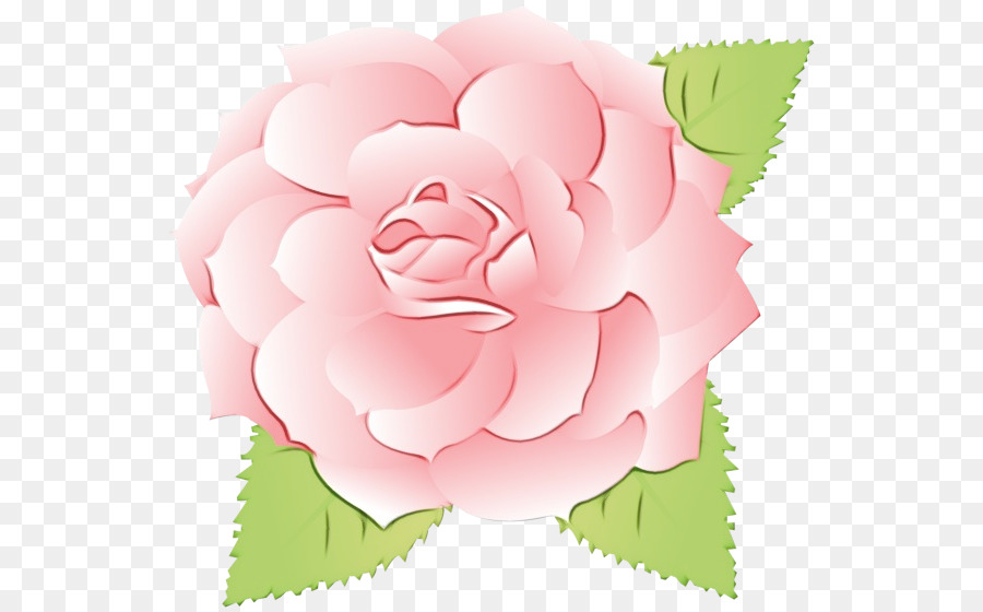 Rose Pourpre，Fleurir PNG