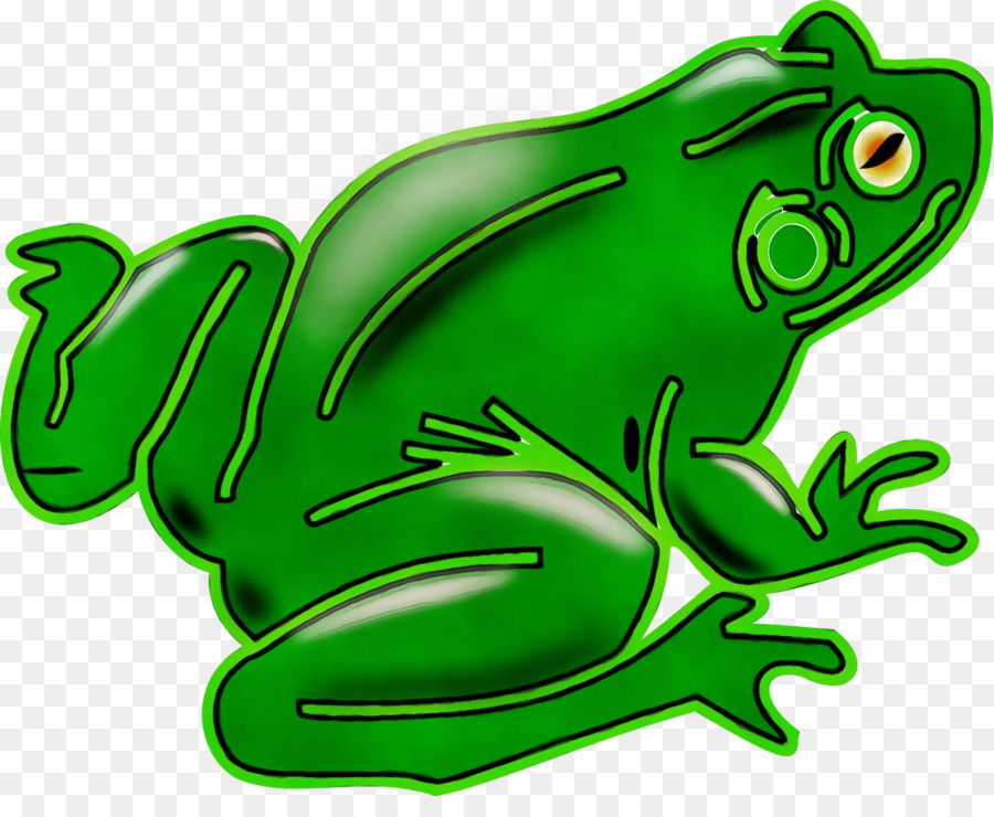 Vrai Grenouille，Crapaud PNG