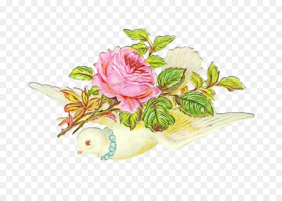 Colombe Avec Rose，Fleur PNG