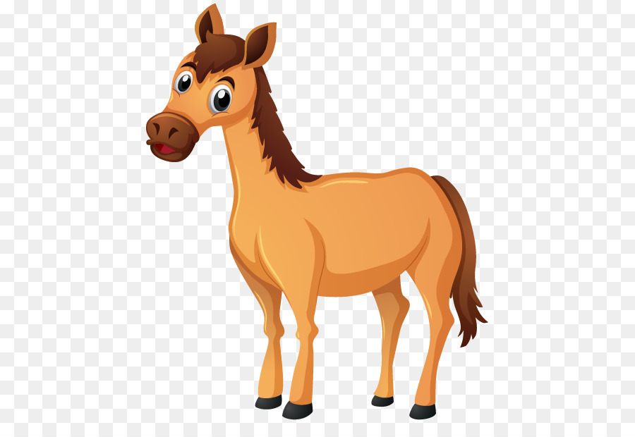 Cheval，équidé PNG