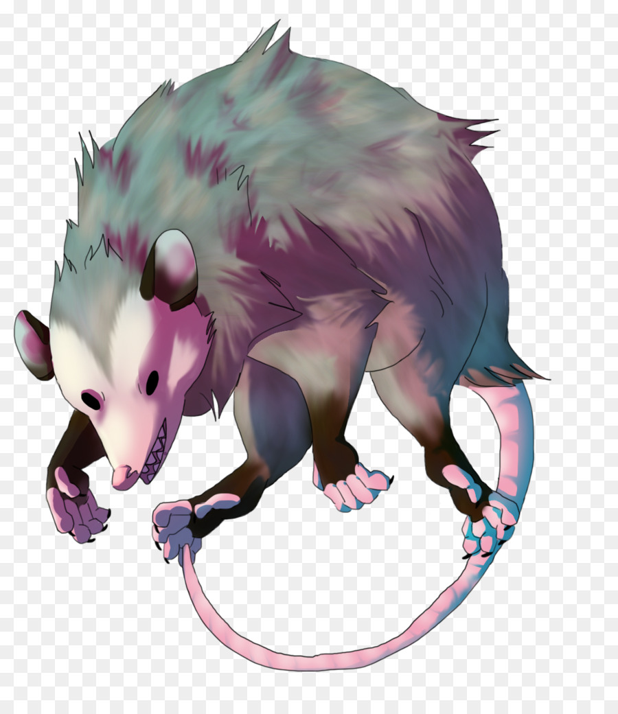 Opossum，Rat PNG