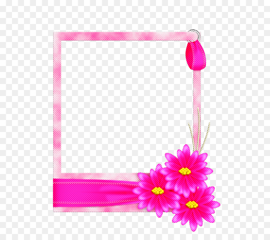 Cadre Photo，Fleurs PNG