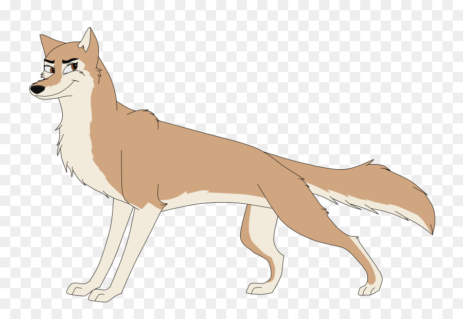 Race De Chien，Renard Rouge PNG