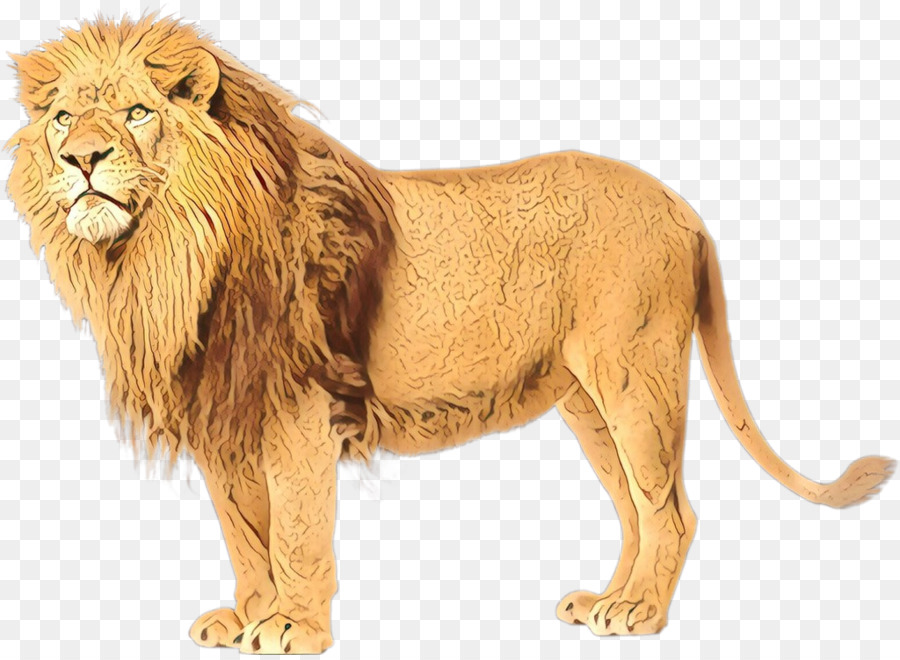 Lion D'afrique De L'est，Felidae PNG
