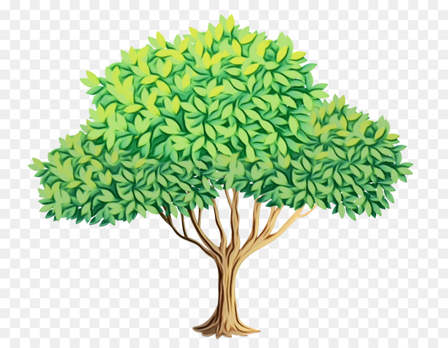 Arbre，Vert PNG