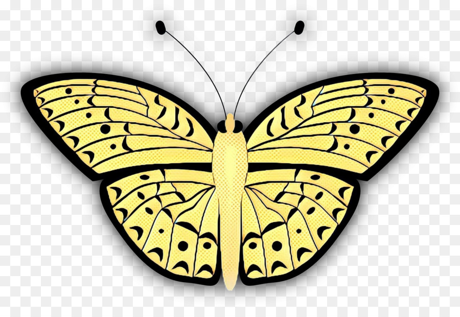 Papillon，Ailes PNG