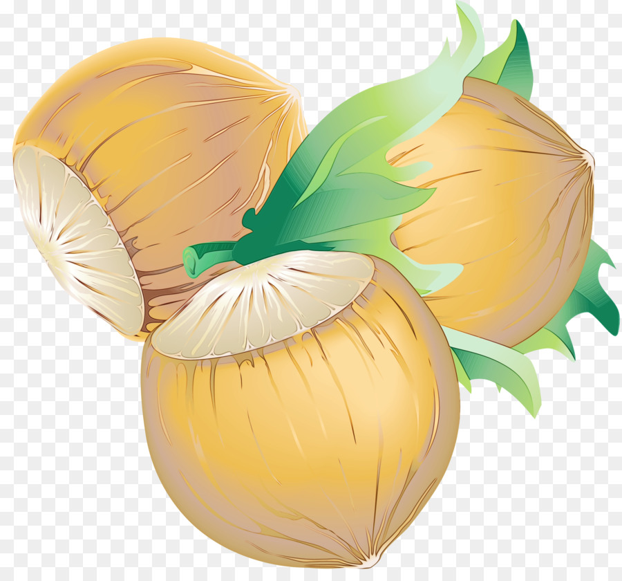 Les Courges D'hiver，Pâques PNG