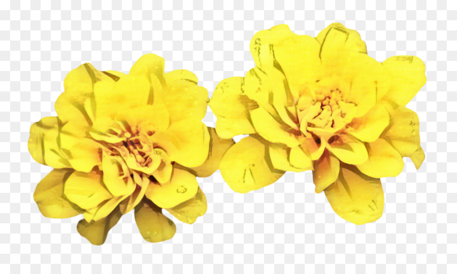 Fleur，Jaune PNG