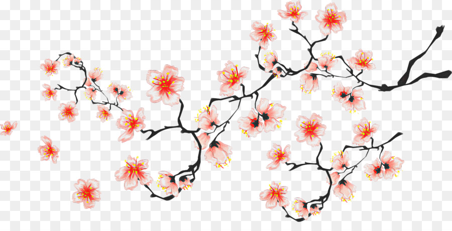 Fleur De Cerisier，Les Fleurs Coupées PNG