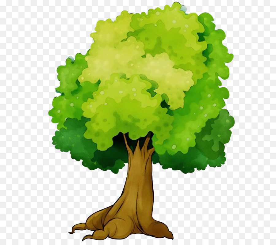 Arbre，Feuilles PNG