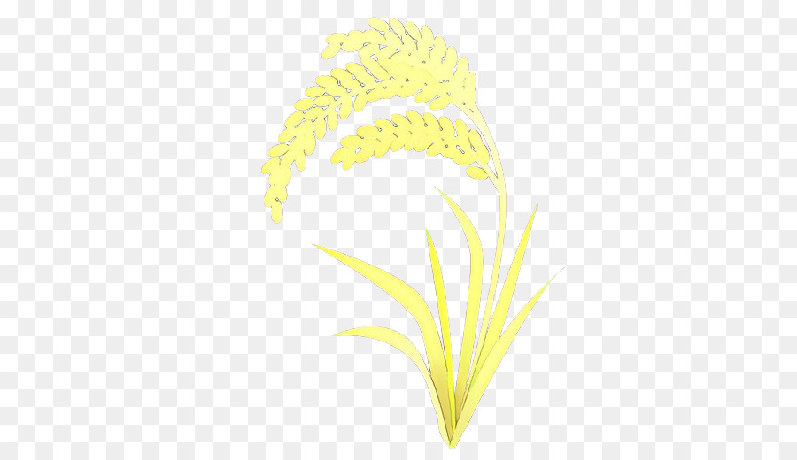 Usine De Riz，Grain PNG