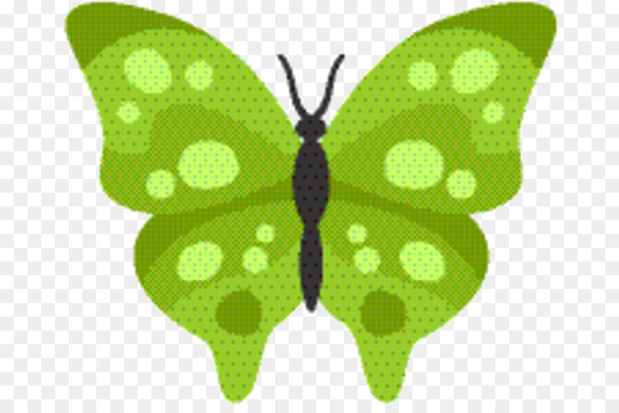 Papillon Violet，Ailes PNG