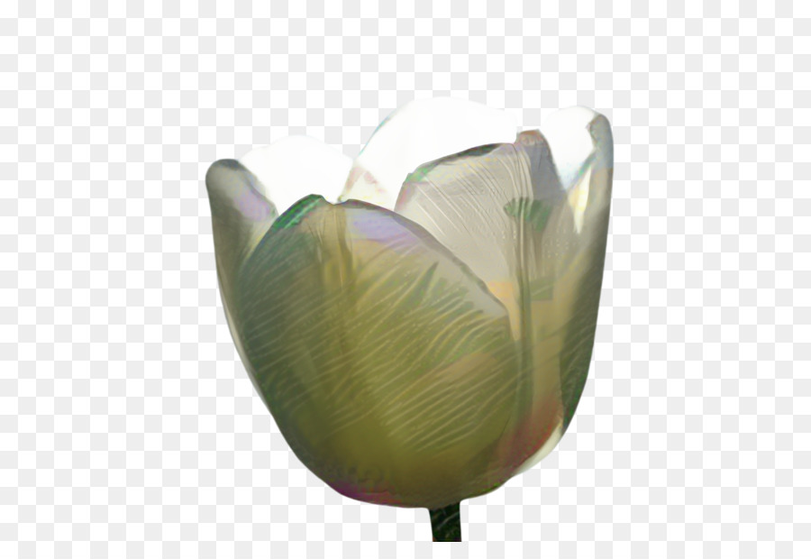 Fleur，Vase PNG