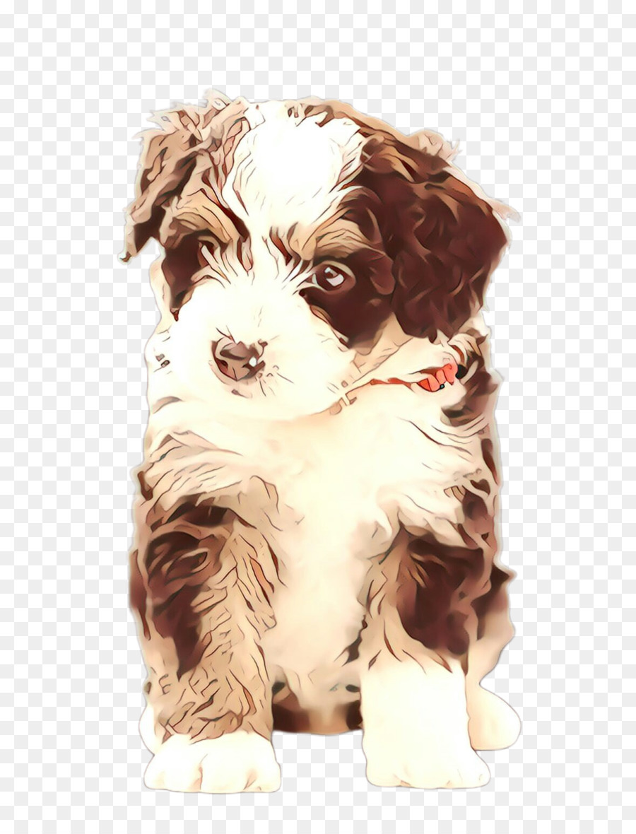 Épagneul Cavalier King Charles，Chiot PNG