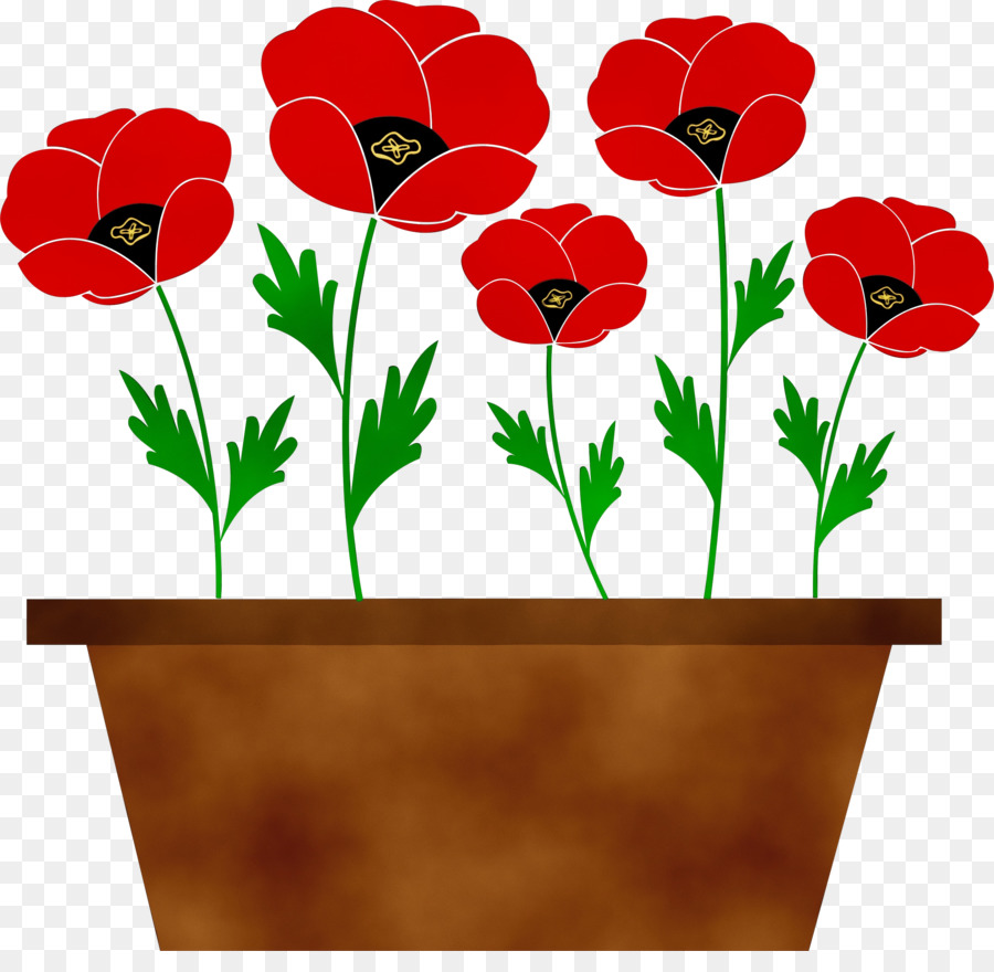 Flowerpot，Pavot PNG