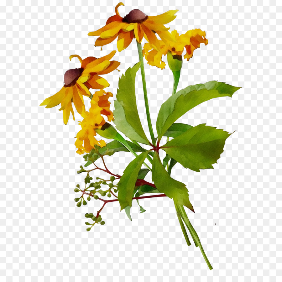 Les Fleurs Coupées，Tige De La Plante PNG