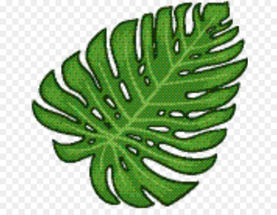 Vert，Feuille PNG