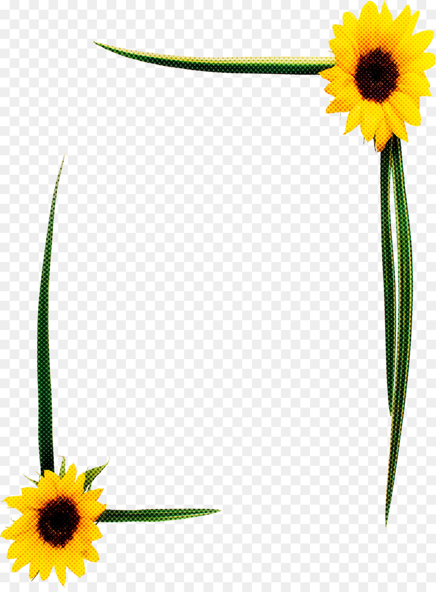 Jaune，Tournesol PNG