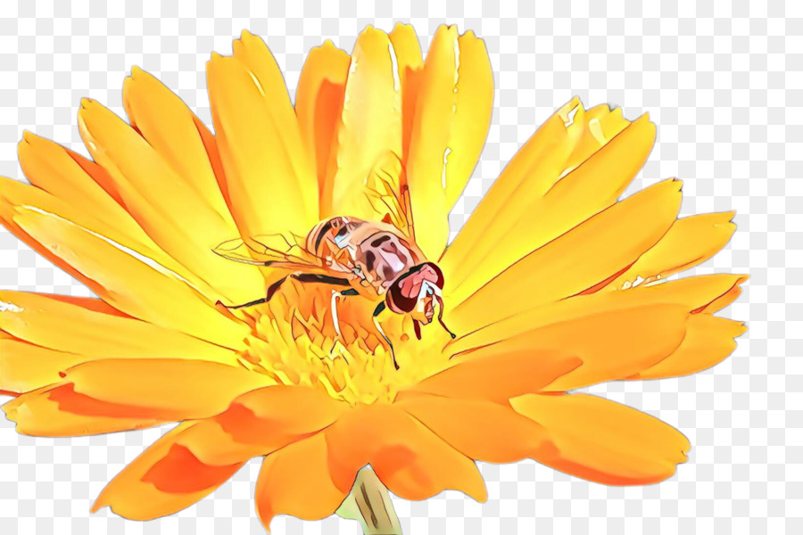 L'abeille à Miel，Frelon PNG