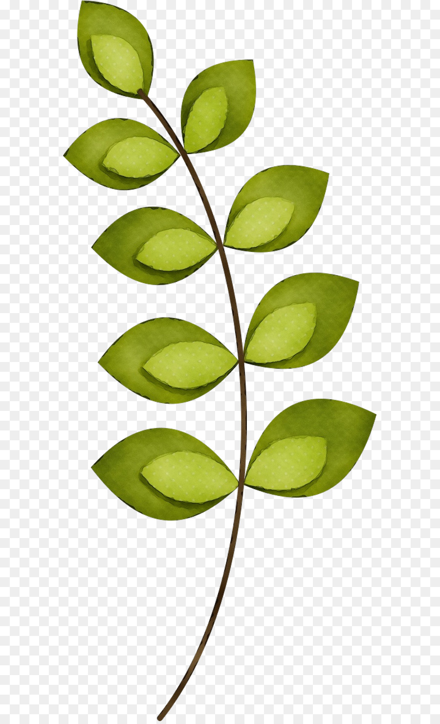 Branche，Tige De La Plante PNG