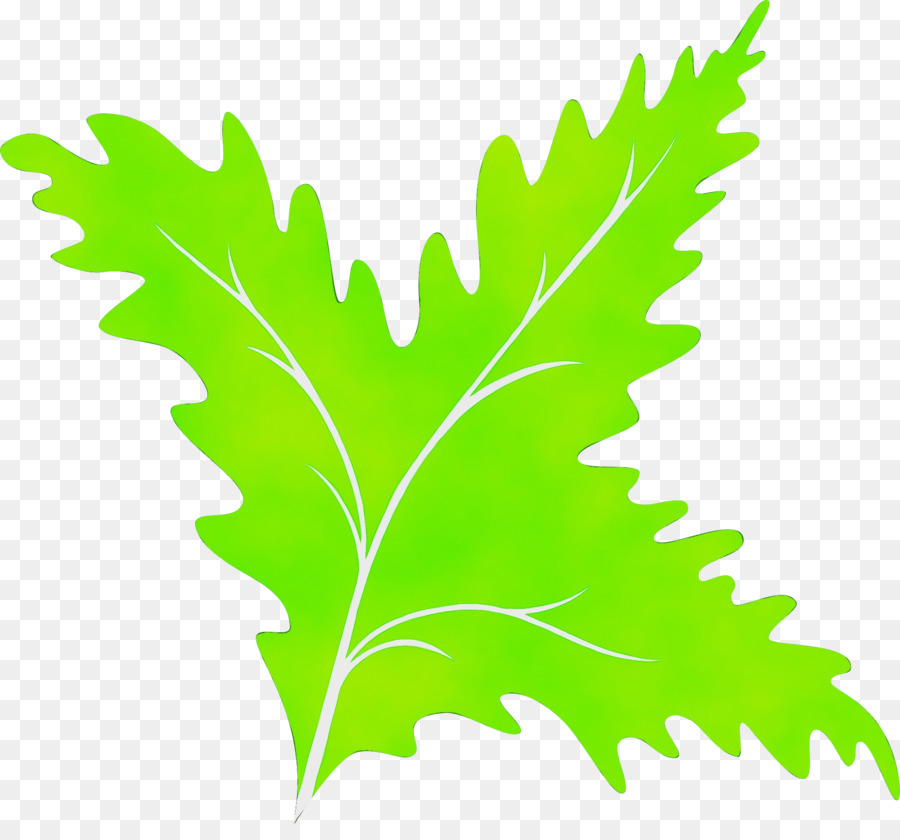 Feuille Verte，Usine PNG