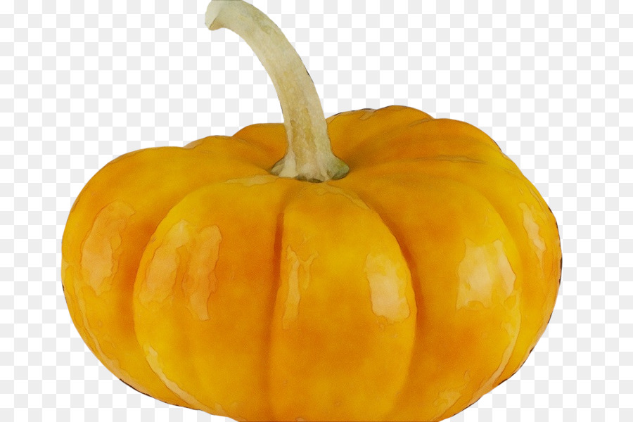 Citrouille，Gourde PNG