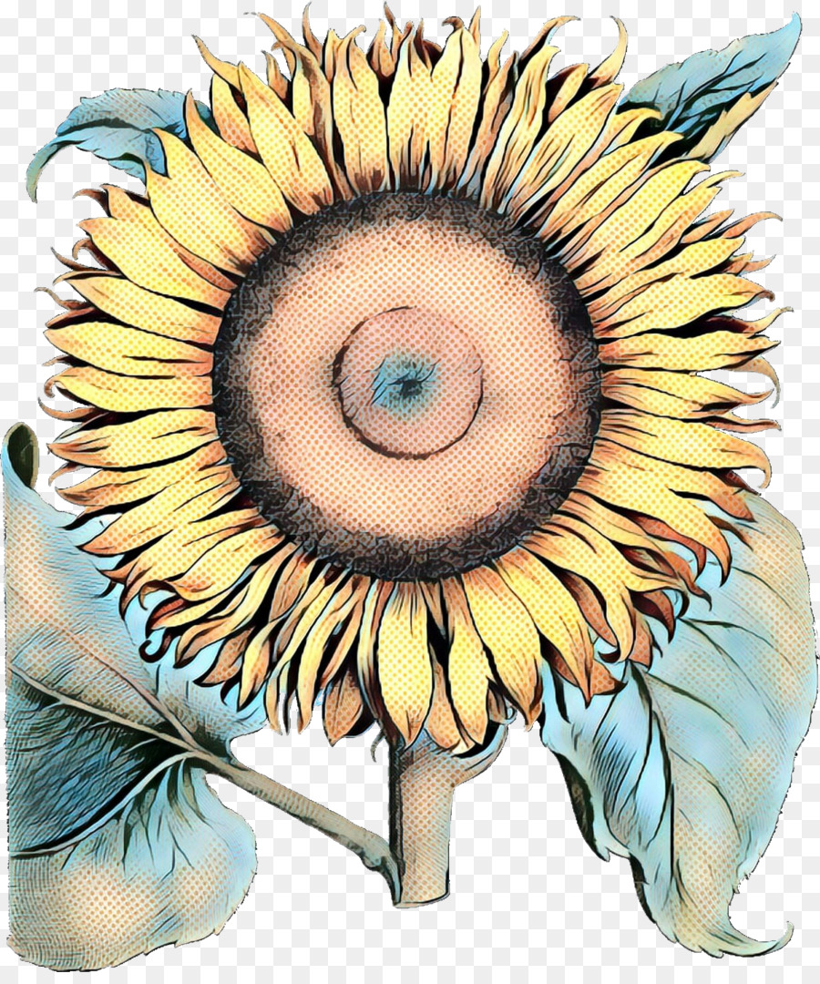 Commune De Tournesol，Peinture à L'aquarelle PNG