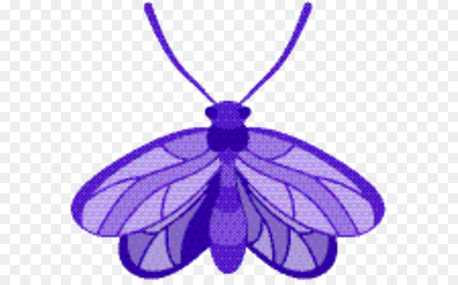 Les Insectes，Violet PNG