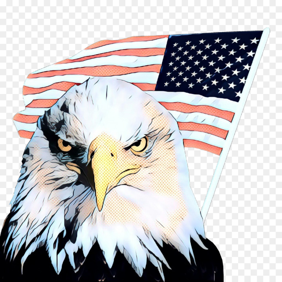 Aigle Et Drapeau，Usa PNG