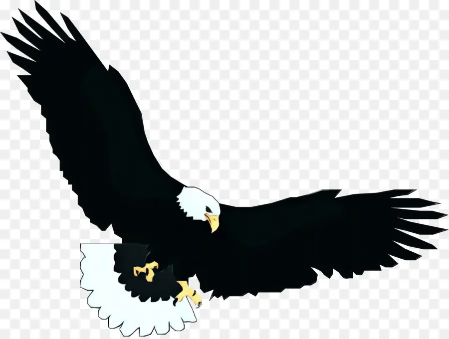 Aigle De Dessin Animé，Ailes PNG