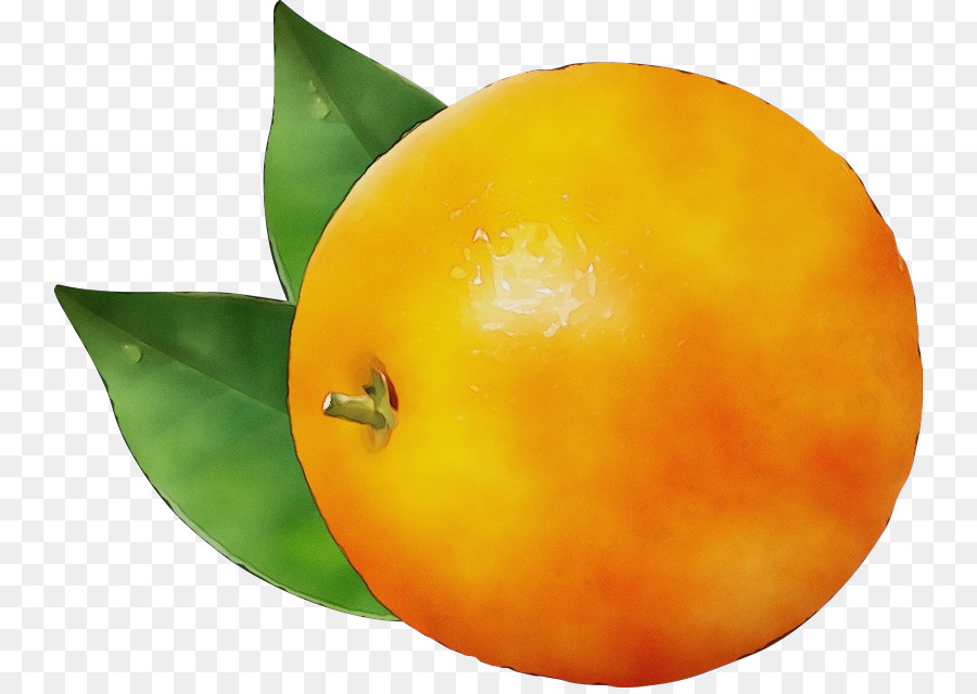 Pêche，Fruit PNG