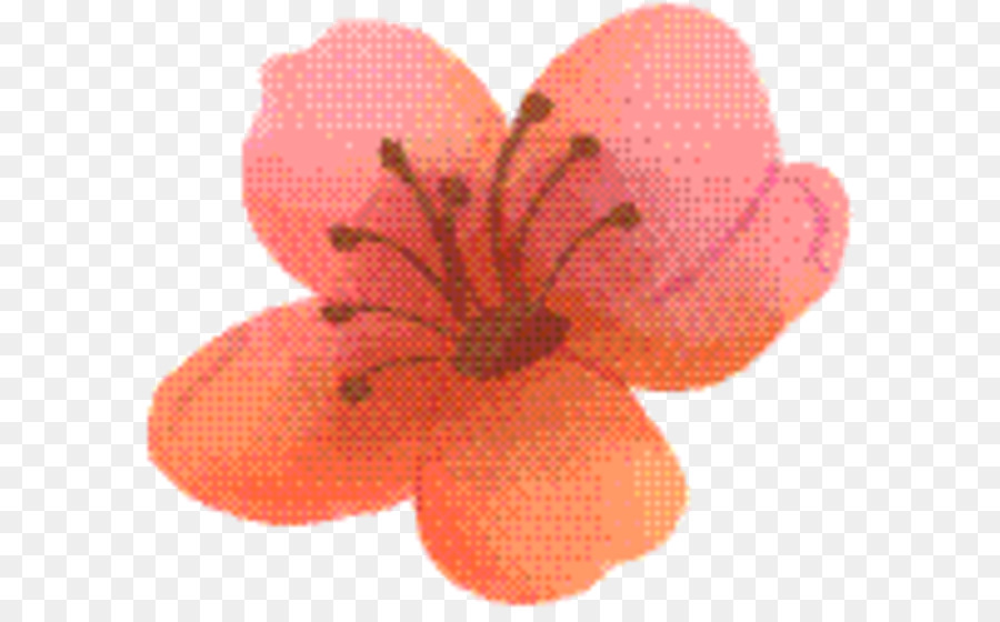 Fruits，Rose PNG