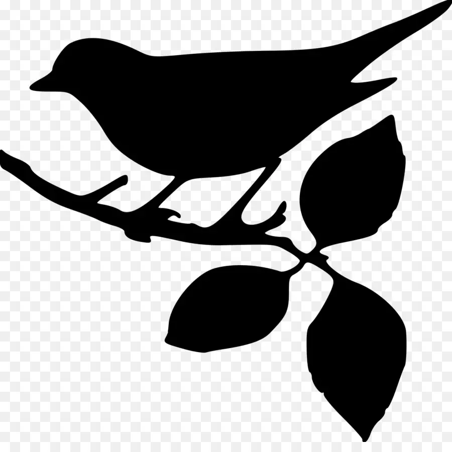 Oiseau，Mockingbird PNG