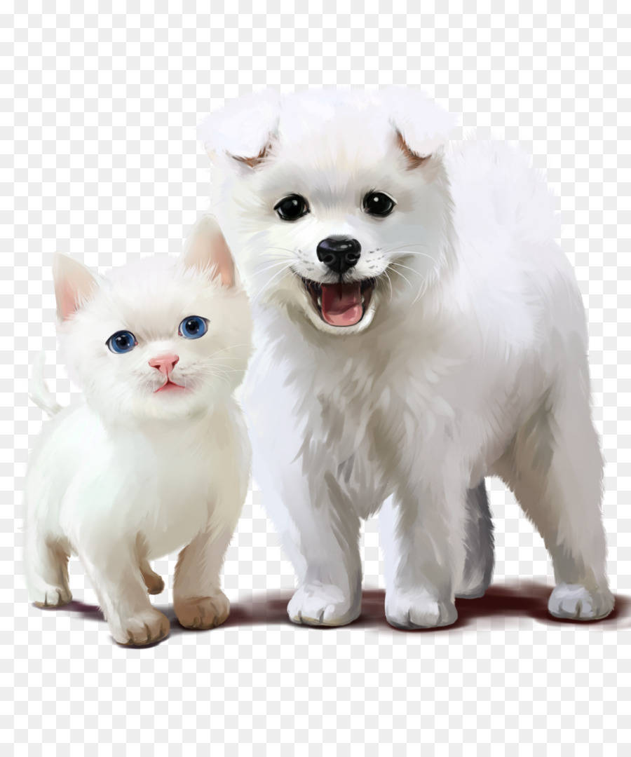 Chat Et Chien Blancs，Animaux De Compagnie PNG