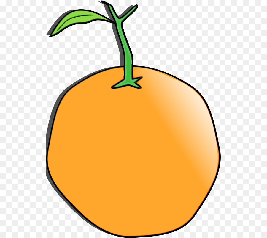 Orange，Feuille PNG