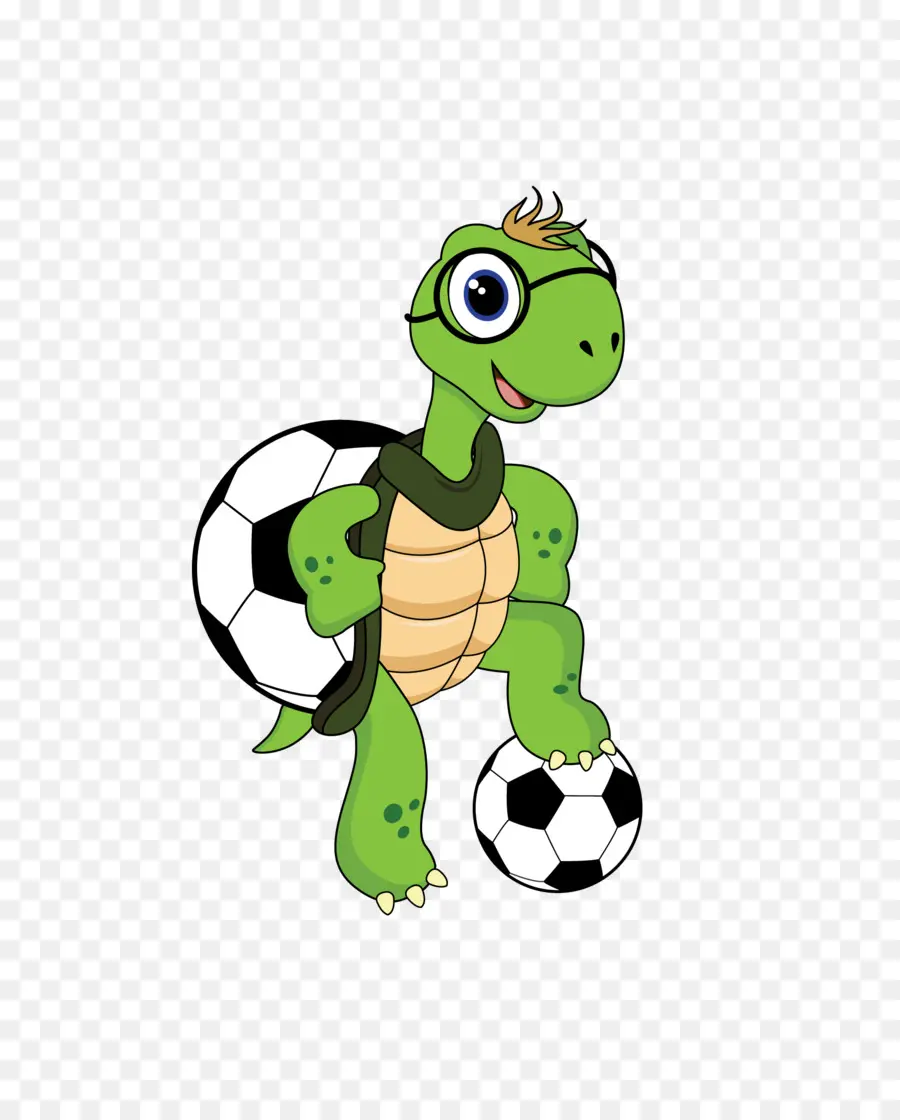 Sports，Tortue PNG
