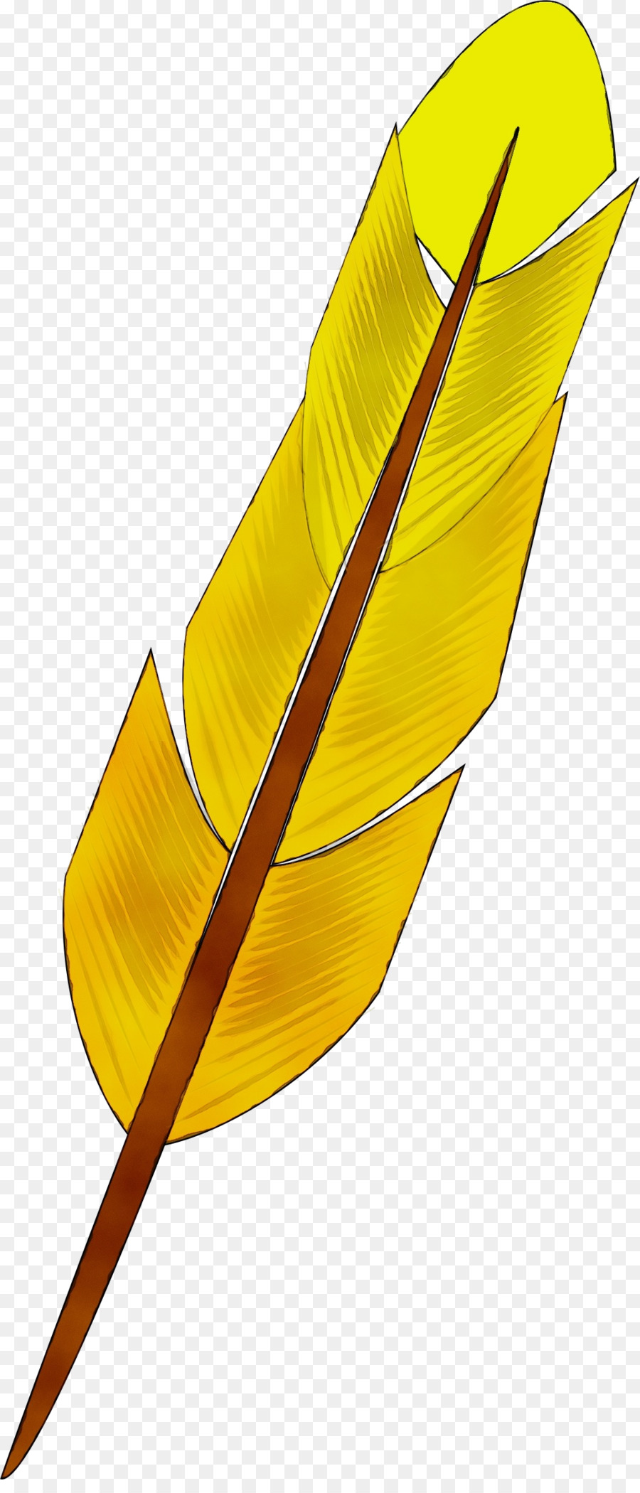 Plume Jaune，Oiseau PNG