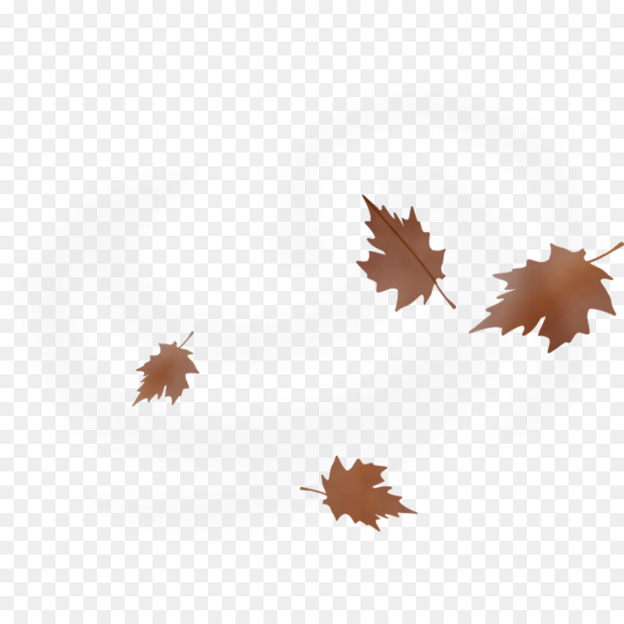 Feuilles D'automne，Automne PNG