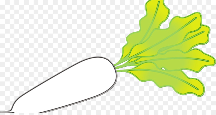 Daikon，Salade PNG