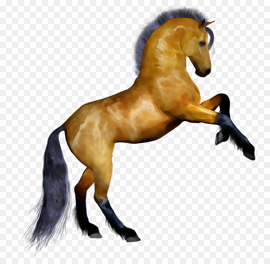 Tête De Cheval Jaune，Animal PNG