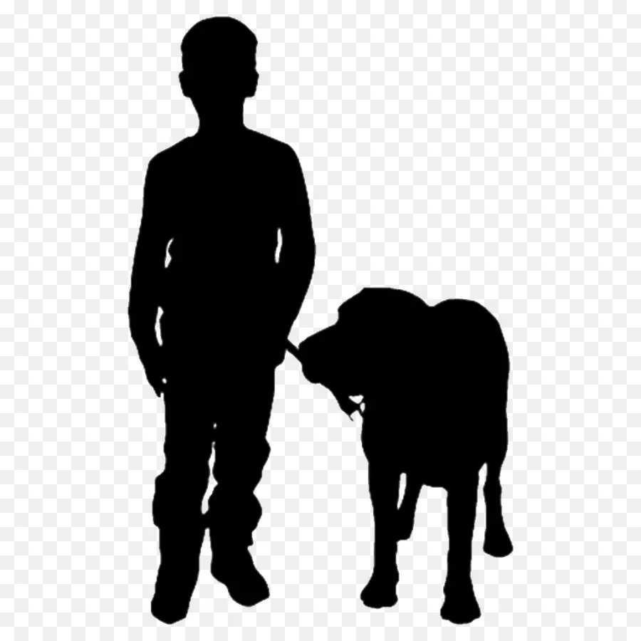 Silhouette De Garçon Et De Chien，Enfant PNG