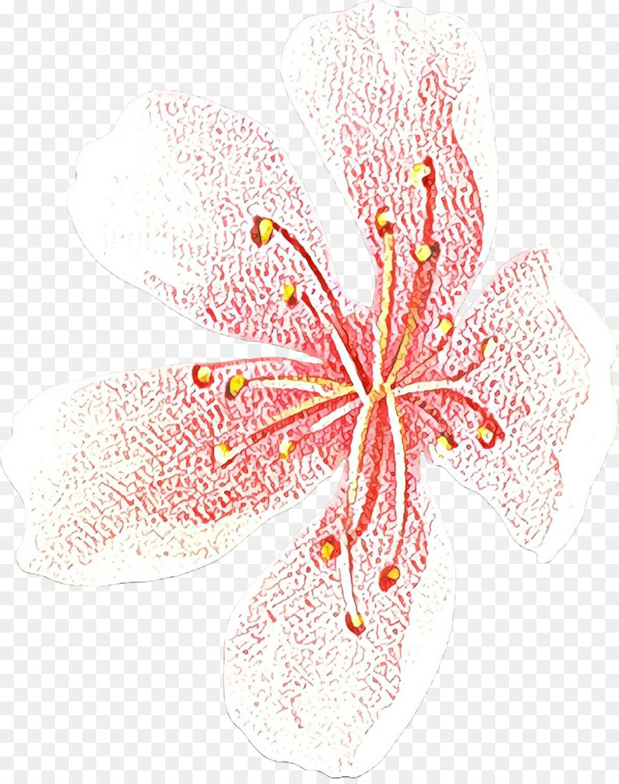 Design Floral，Les Fleurs Coupées PNG