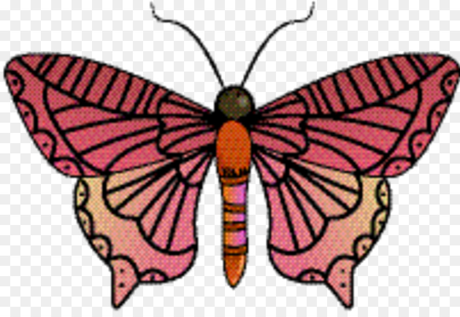 Papillon，Ailes PNG