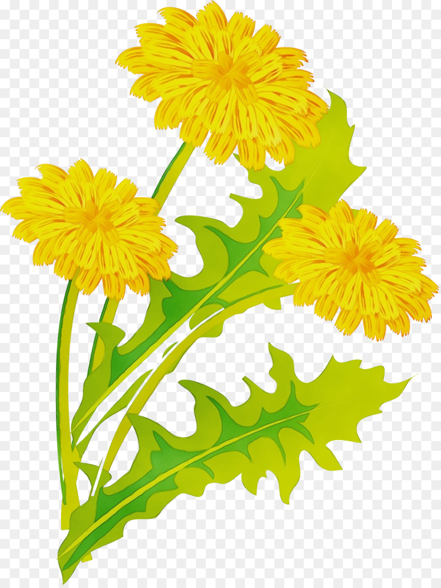 Fleurs De Pissenlit，Fleur PNG