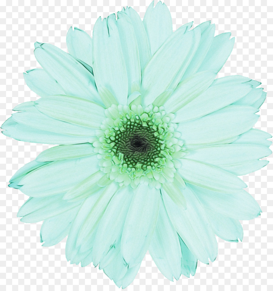 Fleur，Bleu PNG