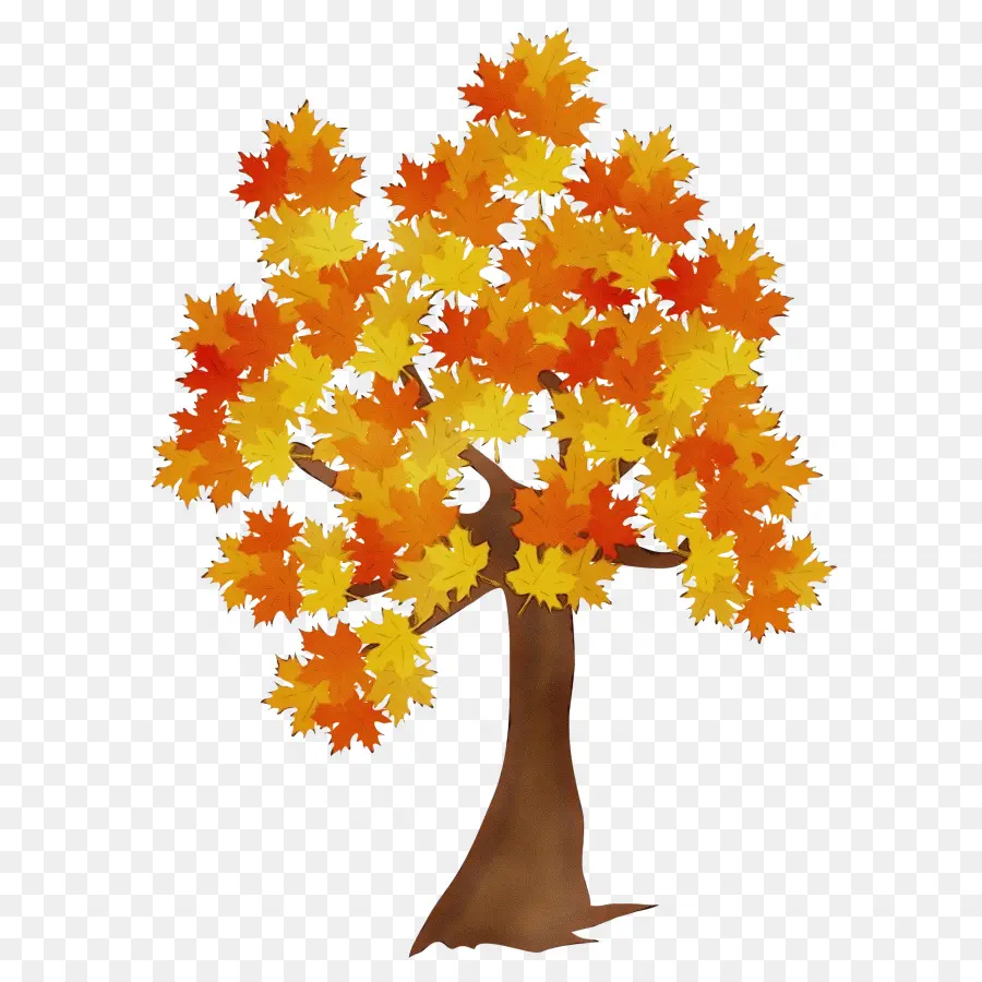 Feuilles D'automne，Arbre PNG