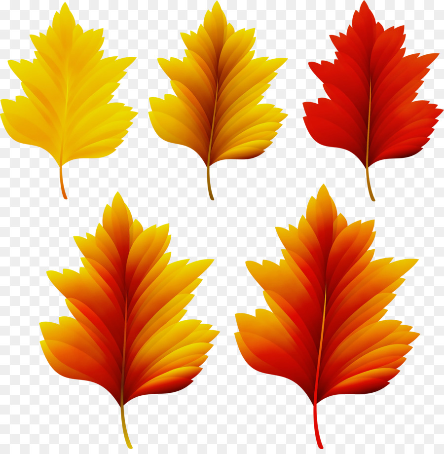 Feuilles，Automne PNG