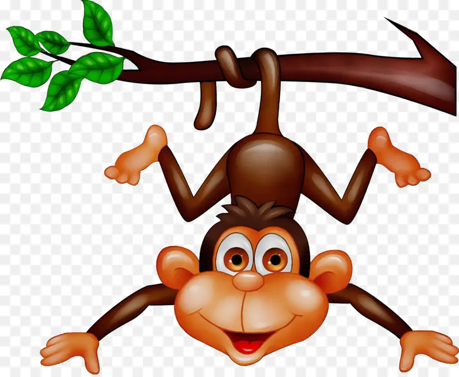 Singe，Arbre PNG