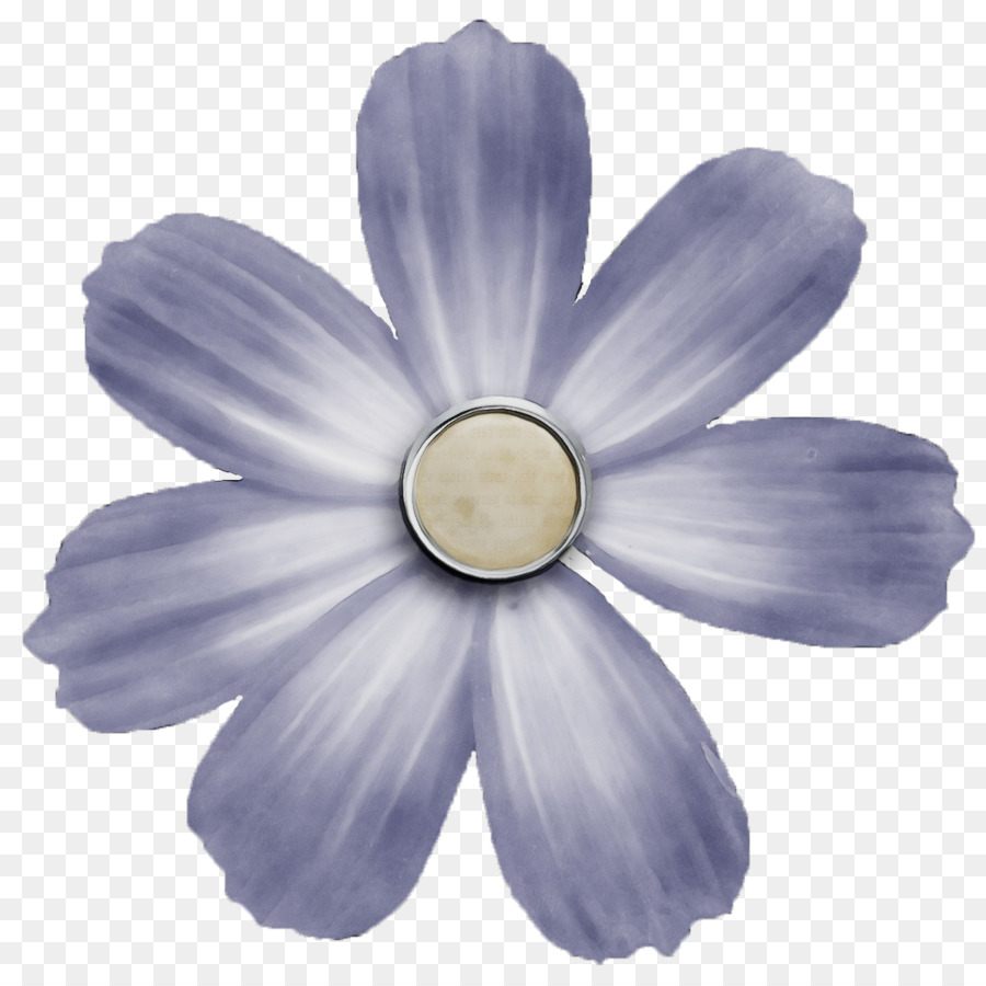 Fleur Violette，Fleurir PNG