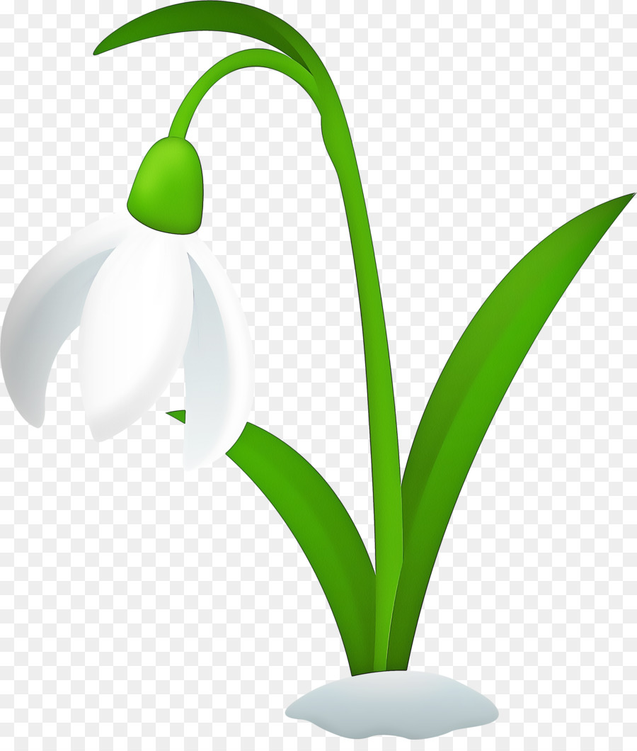 Perce Neige，Usine PNG